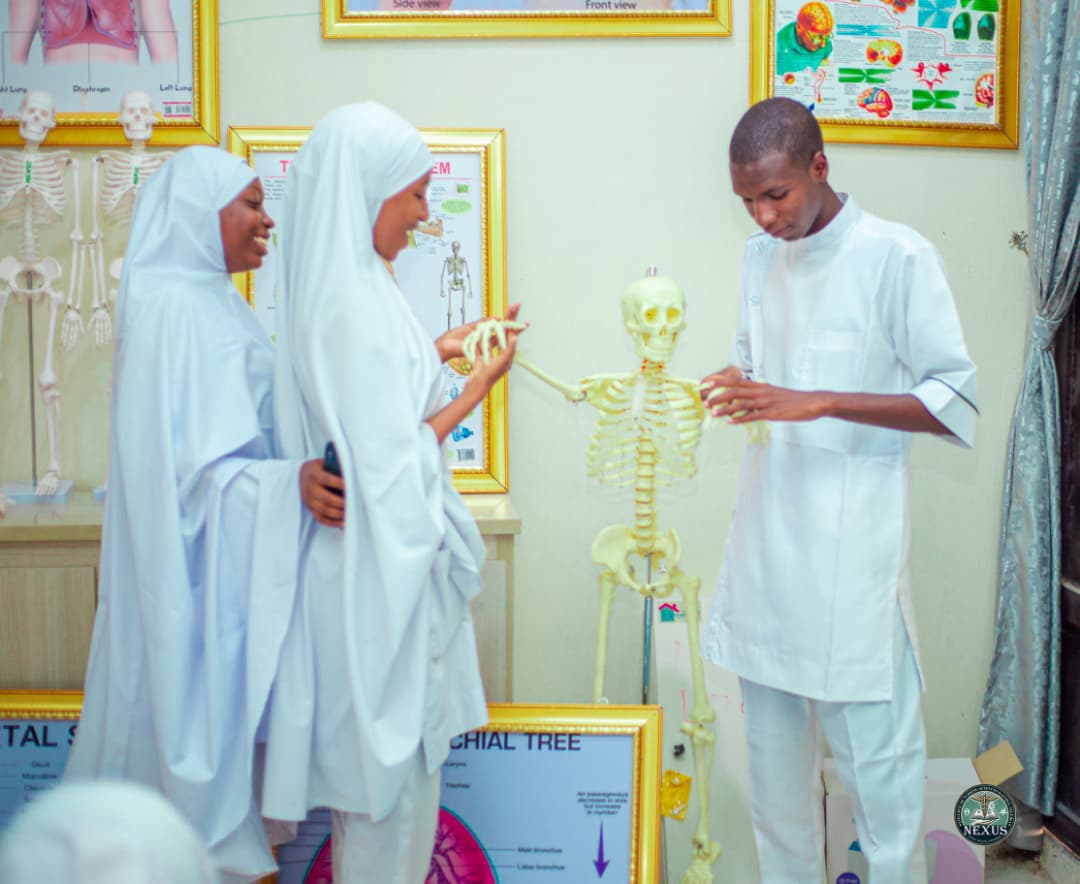 Nexus College of Nursing Sciences